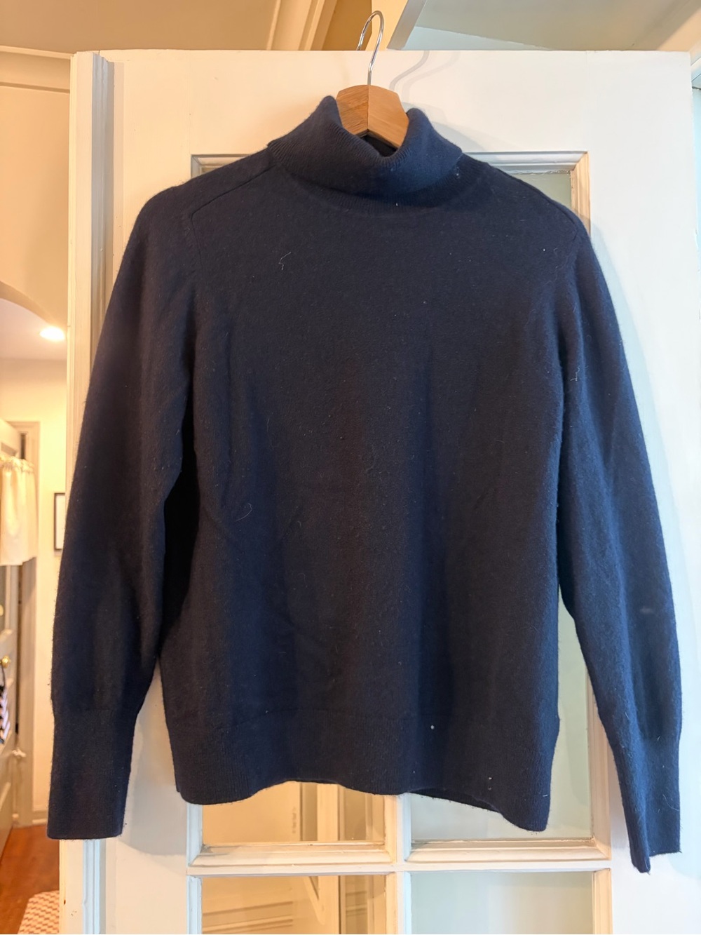 Everlane Cashmere Navy Turtleneck Sweater